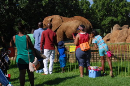 Pretoria Zoo Entrance Fee